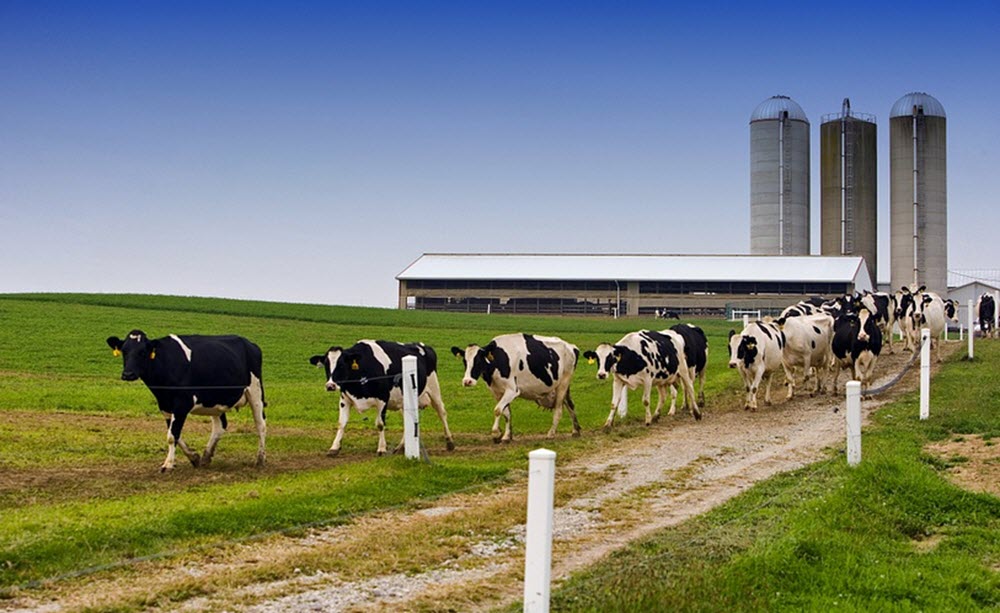 ohio farm